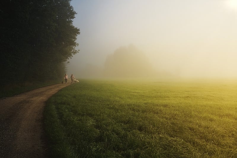 Nature Connection